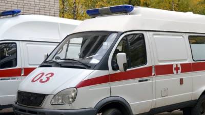 Труп в пакете не помешал отдыхающим у Колтушского озера в Ленобласти - newinform.com - Ленинградская обл.