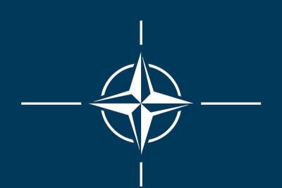 СМИ: НАТО может принять Украину не ранее чем через 10-15 лет - mk.ru - Грузия - Черногория