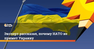 Эксперт рассказал, почему НАТО не примет Украину - ridus.ru - Москва - Киев - Грузия
