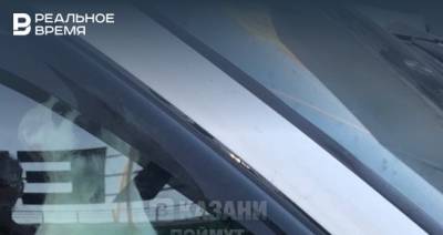 В Казани на жаре в машине заперли собаку - realnoevremya.ru - респ. Татарстан - Казань