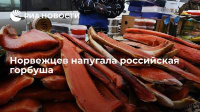 NRK: Норвегия столкнулась с проблемой нереста российской горбуши - ria.ru - Москва - Норвегия - Россия