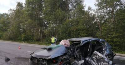 На трассе Хабаровск – Владивосток в жуткой аварии погибло четыре человека - reendex.ru - Хабаровск - Владивосток