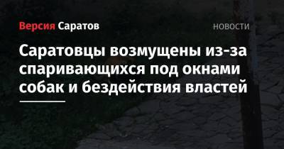 Саратовцы возмущены из-за спаривающихся под окнами собак и бездействия властей - nversia.ru - р-н Кировский