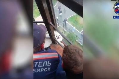 Спасатели освободили застрявшего на балконе шпица в Новосибирске - novos.mk.ru - Новосибирск