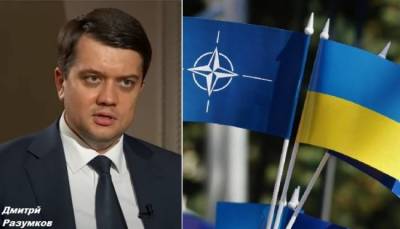 Дмитрий Разумков - Разумков сделал прогноз о сроках вступления Украины в НАТО - eadaily.com