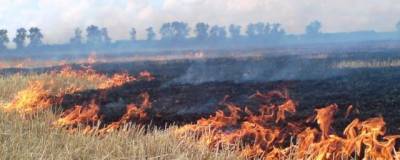 В Сербии возле оружейной фабрики загорелся лес - runews24.ru - Сербия - Чачак