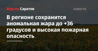 В регионе сохранится аномальная жара до +36 градусов и высокая пожарная опасность - nversia.ru - Саратовская обл. - Саратов