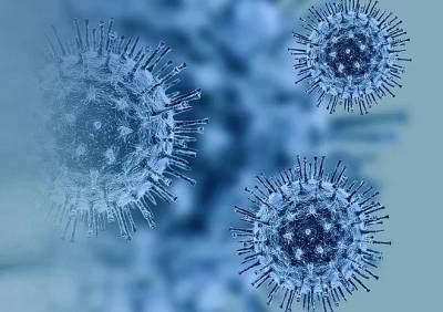 В Индии сообщили о появлении еще одной мутации коронавируса - ya62.ru - Индия - India - штат Махараштра