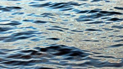 Молодой человек утонул во время купания в Колтушском озере в Павлово - piter.tv - Ленинградская обл.