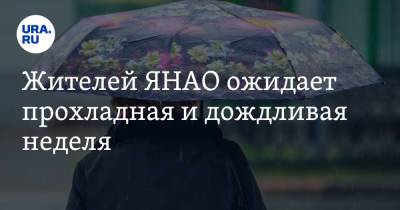 Жителей ЯНАО ожидает прохладная и дождливая неделя - ura.news - окр. Янао