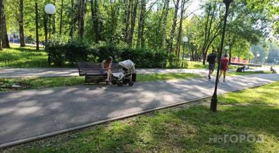 «Идет от кладбища из-за жары»: жители Ярославля жалуются на трупный запах - progorod76.ru - Ярославская обл. - Ярославль