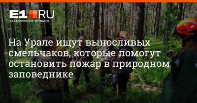 На Урале ищут выносливых смельчаков, которые помогут остановить пожар в природном заповеднике - e1.ru - Екатеринбург