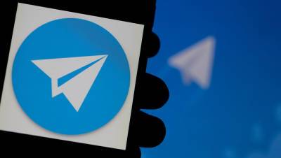 Экстремистскими в Белоруссии признаны еще два Telegram-чата - gazeta.ru - Брестская обл. - Пинск