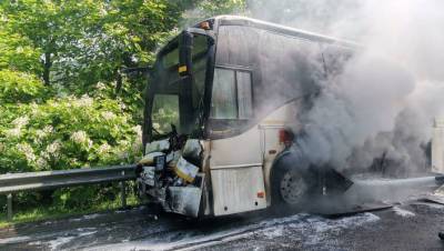 В Краснодарском крае 9 детей и водитель пострадали в ДТП с автобусами - gazeta.ru - Сочи - Краснодарский край - Краснодар