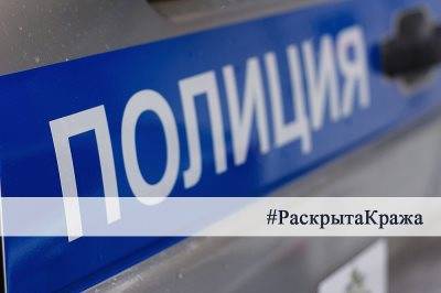 Ульяновец обокрал жительницу Мордовии в поезде - ulpravda.ru - Москва - Ульяновская - Тольятти - республика Мордовия