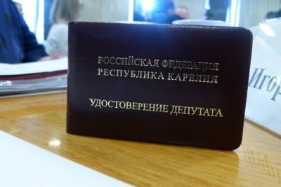 Летняя сессия Петросовета пройдёт без участия жителей Петрозаводска - karel.mk.ru - Петрозаводск - республика Карелия