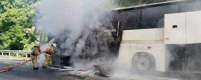 На Кубани столкнулись два автобуса, пострадали девять человек - runews24.ru - Сочи - Краснодарский край - район Туапсинский