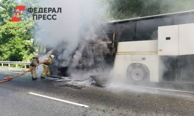 В Краснодарском крае столкнулись два автобуса с детьми - fedpress.ru - Сочи - Краснодарский край - район Славянский
