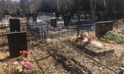 В Петрозаводске будут расширять кладбище - gubdaily.ru - Петрозаводск - республика Карелия