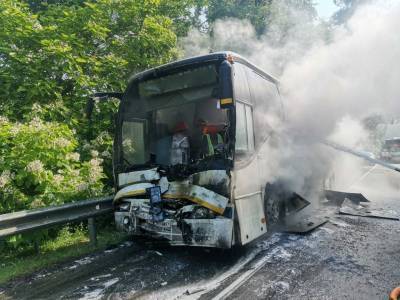 Два автобуса с детьми столкнулись на Кубани. 16 человек пострадали - bloknot.ru - Сочи - Краснодар