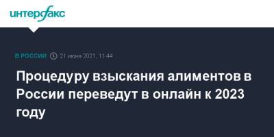 Дмитрий Чернышенко - Процедуру взыскания алиментов в России переведут в онлайн к 2023 году - interfax.ru - Москва