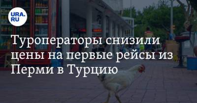 Туроператоры снизили цены на первые рейсы из Перми в Турцию - ura.news - Турция - Пермь