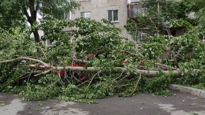 Последствия вчерашнего урагана в Тюмени (Фото) - nashgorod.ru - Тюмень