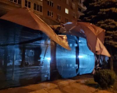 Ростовчане переживают что в Кооператоре Дона выращивают «Нечто» - privet-rostov.ru