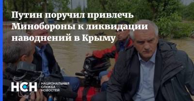 Сергей Шойгу - Владимир Путин - Дмитрий Песков - Путин поручил привлечь Минобороны к ликвидации наводнений в Крыму - nsn.fm - Крым