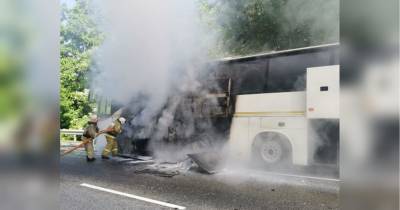 У Росії зіткнулися два автобуси з дітьми: є постраждалі - fakty.ua - Украина - Росія
