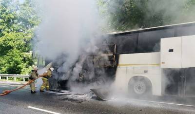 В России в результате столкновения 2 автобусов пострадали 15 детей - vchaspik.ua - Сочи - Краснодарский край