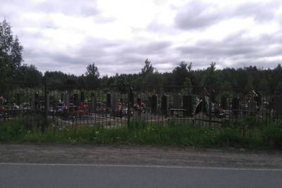 Кладбище около Вилги под Петрозаводском расширят - karel.mk.ru - Петрозаводск - республика Карелия