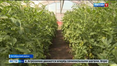 Ученые Донского аграрного университета посоветовали, как бороться с вредителями растений - dontr.ru - Экология