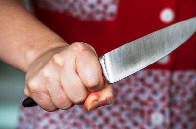 В Смоленске женщина подшофе вонзила нож в грудь гражданскому мужу - rabochy-put.ru - Смоленск - Смоленская обл.