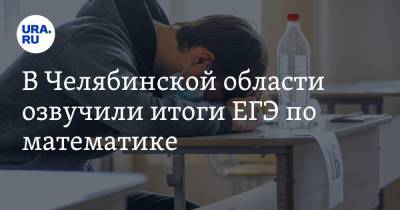 В Челябинской области озвучили итоги ЕГЭ по математике - ura.news - Челябинская обл. - Челябинск - Магнитогорск