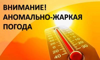 В Ульяновской области ждут опасную жару – местами до 37 градусов - ulpravda.ru - Ульяновская