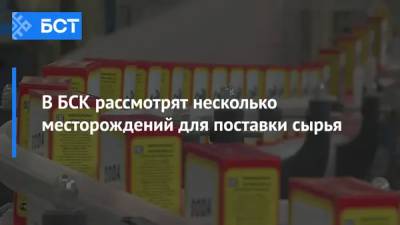 В БСК рассмотрят несколько месторождений для поставки сырья - bash.news
