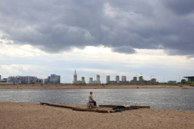 Финский залив стал болотного цвета из-за аномальной жары - neva.today - Ленинградская обл. - Санкт-Петербург