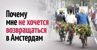 Всю жизнь мечтала побывать в Амстердаме, но путешествие не принесло ничего, кроме разочарования - skuke.net - Амстердам - Европа