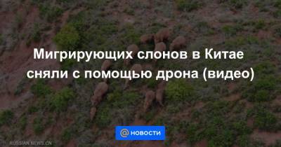 Мигрирующих слонов в Китае сняли с помощью дрона (видео) - news.mail.ru
