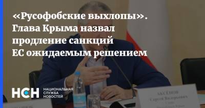 Сергей Аксенов - «Русофобские выхлопы». Глава Крыма назвал продление санкций ЕС ожидаемым решением - nsn.fm - Крым - Севастополь