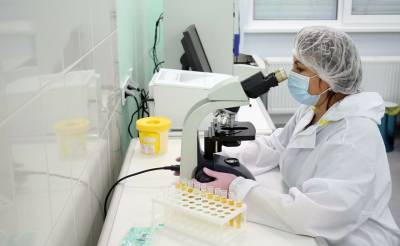 Число госпитализированных больных в Зангиоте выросло в 1,5 раза, 13% из них – направляются в реанимацию – Миразимов - podrobno.uz - Узбекистан - Ташкент