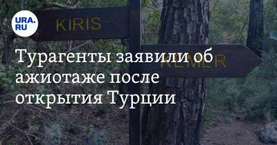 Турагенты заявили об ажиотаже после открытия Турции. «100 запросов за два дня» - ura.news - Турция