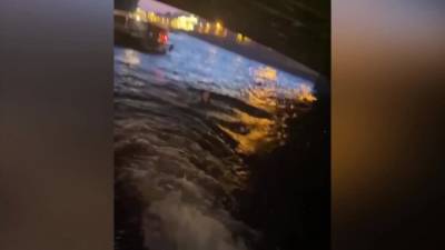Петербуржец повис на балке моста и упал в воду во время вечерней прогулки на теплоходе - piter.tv - Санкт-Петербург