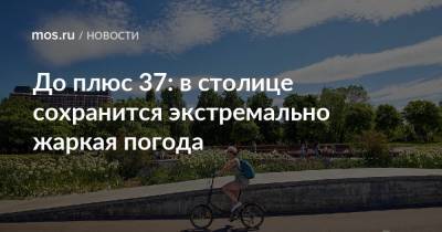 До плюс 37: в столице сохранится экстремально жаркая погода - mos.ru - Москва