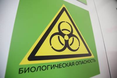 В Волгограде могут усилить меры направленые на борьбу с коронавирусом - volg.mk.ru - Волгоград