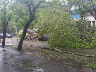 Евгений Тишковец - Москвичам предрекли ураган в выходные - rosbalt.ru - Москва