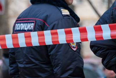 Безбилетник избил сотрудников безопасности столичной подземки - vm.ru - Москва - Нападение