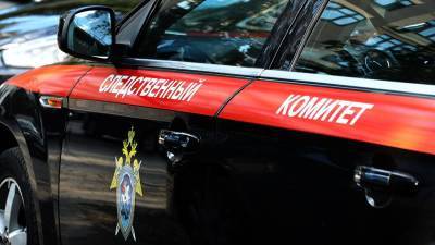 В Удмуртии женщину заподозрили в убийстве сына - iz.ru - респ. Удмуртия - Сарапул