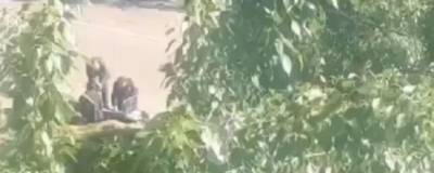 В Чите возле жилого дома обнаружили тело женщины - runews24.ru - Забайкальский край - Чита